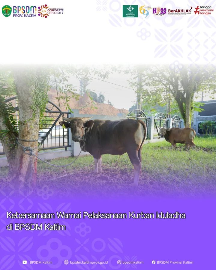 Kebersamaan Warnai Pelaksanaan Kurban Iduladha di BPSDM Kaltim