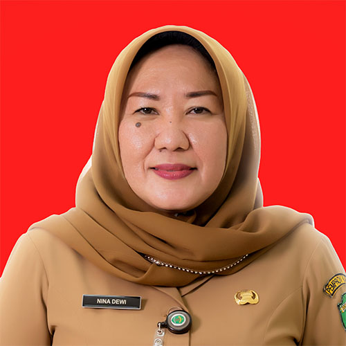 Dra. Nina Dewi, M.AP.